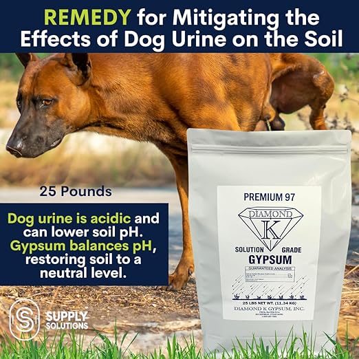 Supply Solutions Gypsum Powder - Purest and Soluble Houseplant Food Fertilizer for Indoor Plants Outdoor Lawn Vegetables - Indoor Plant Nutrients Improve Plant Growth (25 Pounds)
