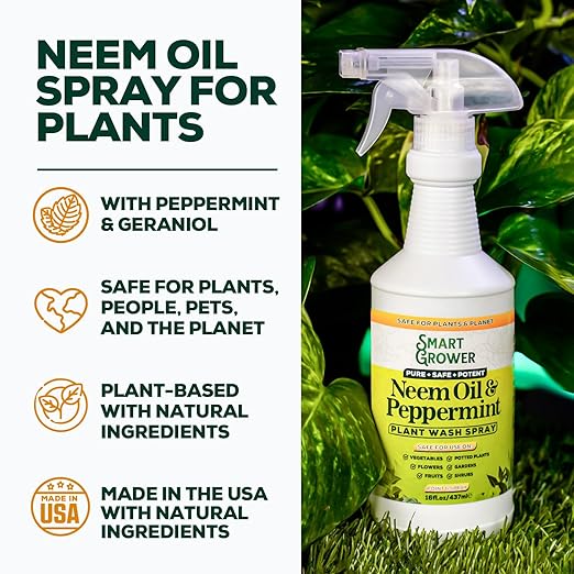 Neem Oil Spray for Plants with Peppermint Oil Natural Plant Wash Made for Indoor and Outdoor Plants Smart Grower 16oz Easy Ready to Use Spray