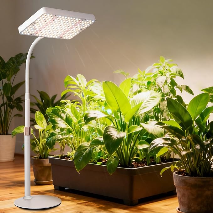 Desk Grow Light Bright Tabletop Grow Lights for Seed Starting Seedlings Bonsai 25 Watt Power Draw NO Need Adapter 16-24 Height Adjustable Daisy Chain Function