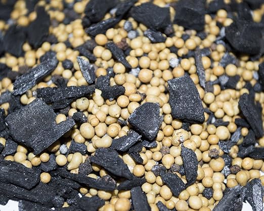 Lewis Bamboo - Biochar Fertilizer 18-5-12 (10 LB Bag) - Time Release Fertilizer with Charcoal