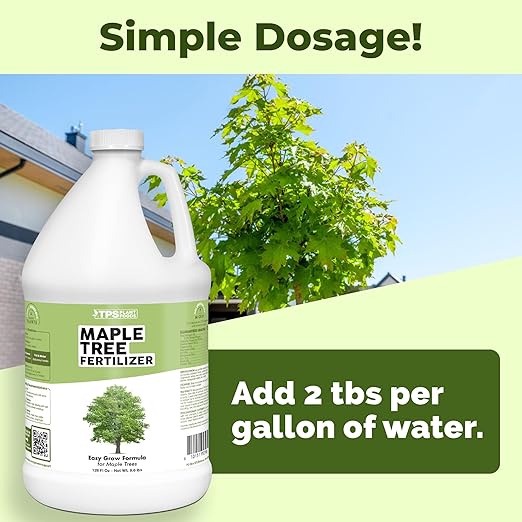 Maple Tree Fertilizer – Liquid Plant Food for Vibrant Color Stronger Roots &amp Healthy Growth 1 Gallon