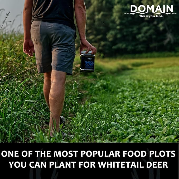Domain Outdoor Smack Down Food Plot Seed 1/2 Acre Variety of Purple Top Turnip and Forage Turnip Attractive Forages No Matter The Time of The Year High Levels of Protein and Energy Fast to Mature