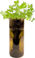 Grow Bottle - Parsley