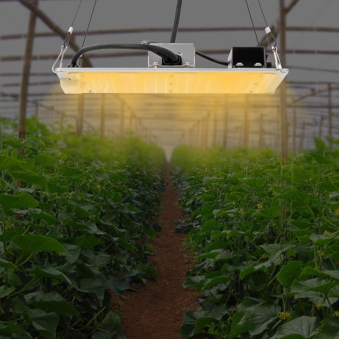 LED Grow Light for Indoor Plants - Dimmable Daisy Chainable Full Spectrum LM301B Diodes Suitable for 2x2 &amp 3x3 Grow Tents