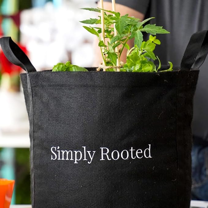 Gardenuity Simply Rooted Garden – Vegetable and Herb Garden Kit with Live Tomato or Pepper Plant Bonnie Plants Miracle-Gro Pour &amp Feed Plant Food &amp 5-Gallon Grow Bag