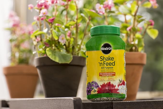 Miracle-Gro Shake 'n Feed All Purpose Continuous Release Plant Food 1-Pound (Slow Release Plant Fertilizer)