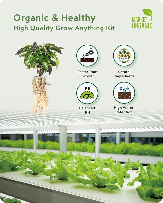 12 Pods Hydroponics Growing System Remote Control White &amp 188Pcs Hydroponic Pods Supplies