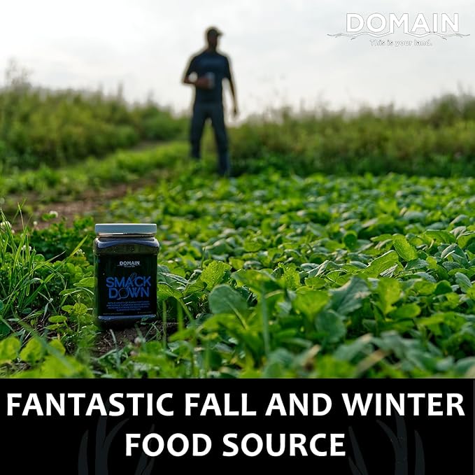 Domain Outdoor Smack Down Food Plot Seed 1/2 Acre Variety of Purple Top Turnip and Forage Turnip Attractive Forages No Matter The Time of The Year High Levels of Protein and Energy Fast to Mature