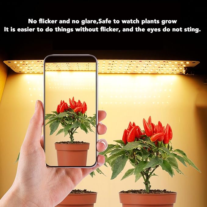 Panel Grow Light 12V 300LED Beads Blue and Red Lights for Plants Plant Grow Light with Timer 3H 6H 12H 6 Gears Brightness for Flowers Vegetables Fruits Indoors Greenhouses