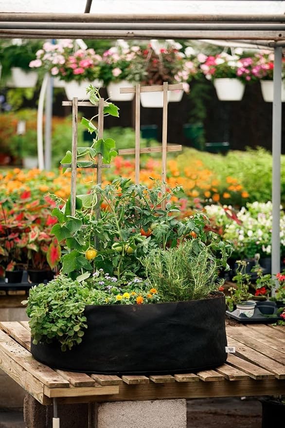 30/cs Big Bag Raised Bed Mini