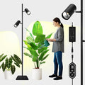 60W Dimmable Grow Light Full Spectrum COB LED Dual-Head Floor Lamp with High CRI 6/8/12H Timer Adjustable Height (37-77) &amp Angle – Standing Grow Lights for Indoor Plants (warm white 4000K)