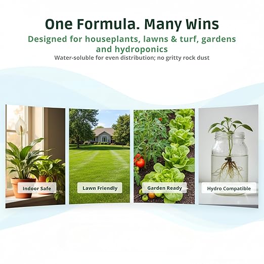Ocean Magic Sea Mineral Fertilizer by GS Plant Foods(1 Gallon) - Soil Mineral Health Improvement Liquid Concentrate - Sea Minerals for Lawn and Turf Gardens &amp House Plants