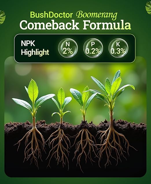 FoxFarm Bush Doctor Boomerang - 2-0.2-0.3 Comeback Formula - Microbial-Based Liquid Plant Fertilizer for Root Zone Support Immediate Nutrient Uptake - Helps Plants Recover from Abiotic Stress-1 Quart