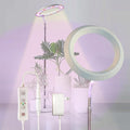 Qux 10” Halo Pro Grow LightFull Spectrum LED Freestanting Plant Grow Lamp for Indoor Larger Plants with 3 Kind of Light Colors switchover &amp 10-Level DimmableAuto On Off Timing 4/8/12Hrs (Relief)