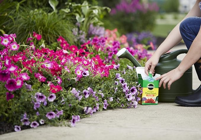Miracle-Gro Water Soluble All Purpose Plant Food - Fertilizer For All Indoor or Outdoor Plants including Roses Flowers Vegetables Houseplants Trees and Shrubs 1.5 lbs. (6-Pack)