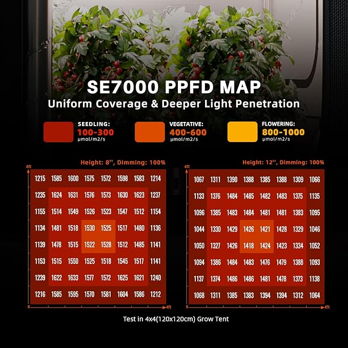Spider Farmer 5L Humidifier and SE7000 Grow Light