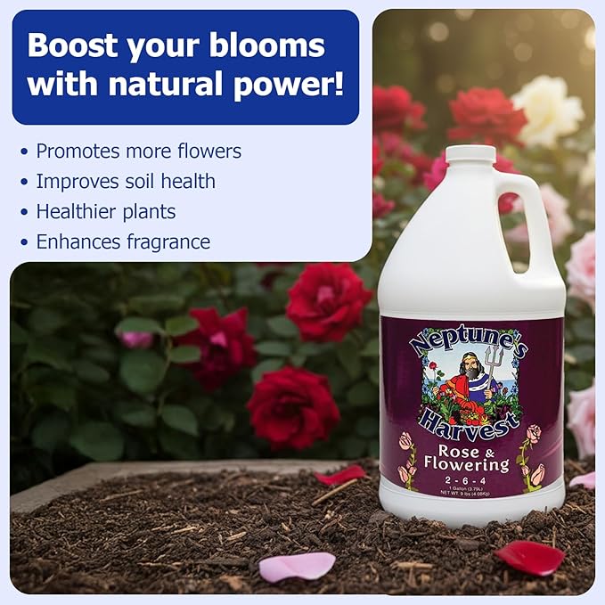 Neptune's Harvest Rose &amp Flowering Fertilizer (2-6-4) - 1 Gallon - Organic Liquid Rose Food for Vibrant Blooms &amp Growth - Promotes Healthy Foliage - Ideal Fertilizer for Indoor &amp Outdoor U