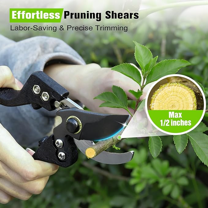 21Garden Hedge Shears and 8Pruning Shears SetManual Hedge Clippers with Steel Wavy Blades Heavy Duty Gardening ClippersSharp Pruners Scissors for Trimming BordersGrassBushBoxwood Yard Tools
