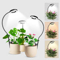 Wolezek 2 in 1 Grow Lights for Indoor Plants 3 Colors Plant Lights with 360 Gooseneck 48 LEDs Full Spectrum 6/12/16H Timer 5 Brightness Black 3 Pack