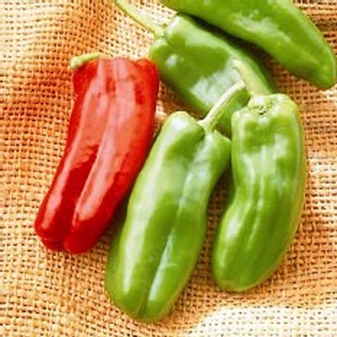 Giant Marconi Hybrid - Sweet Pepper Garden Seeds - 100 Seeds - Non-GMO - Italian Grilling Pepper - AAS Winner -Vegetable Gardening Seed