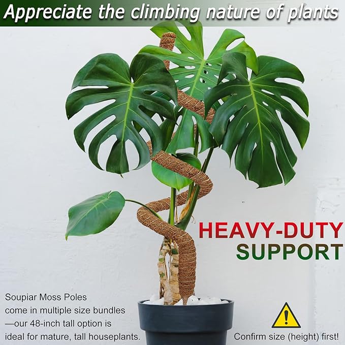 2 Pack 48'' Bendable Moss Pole for Monstera &amp Pothos - Tall Handmade Coco Coir Plant Support Stakes for Large Climbing Indoor Plants Potted Houseplant Trellis Accessories