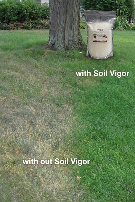 The Smarter Safer Choice for Your Garden — Powered by Potassium NOT Sodium! (Large Granules (5-10 Mesh) 5 lb (1 Bag))