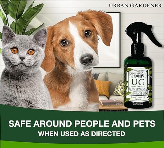 Organic Leaf Wellness Spray for Plants - Protect &amp Nourish Your Plants w/Chitosan Yucca Extract Liquid Kelp and Essential Oils - 8 oz House Plant Spray Bottle