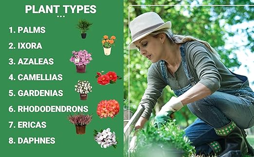8-4-8 Professional Palm Tree Fertilizer &amp 8-4-8 Acidic Fertilizer for Indoor and Outdoor Plants Palm Trees - Acidic Fertilizer for Azaleas Camellias Hydrangeas Blueberries (1 Qr &amp 12oz)
