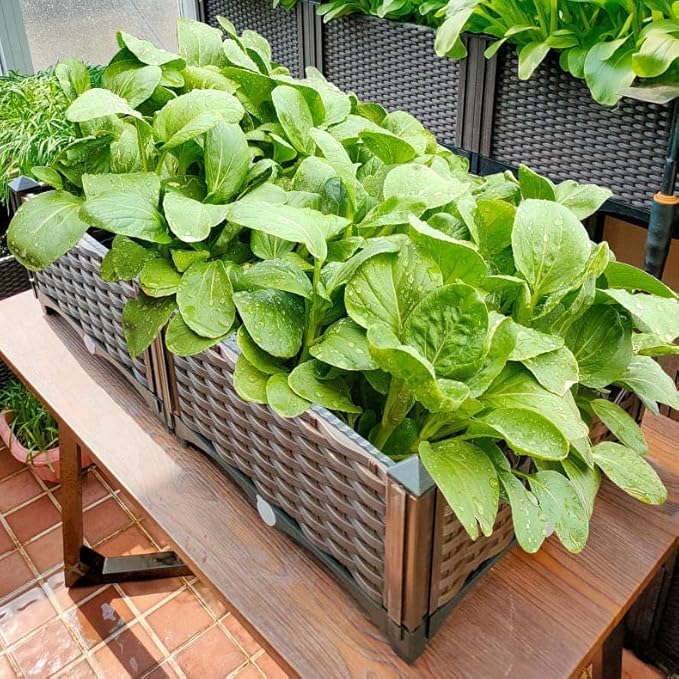 YSUEFIJO Raised Garden Bed for Vegetables Planter Box for Outdoor Plants Garden Planter Box Kit Elevated Garden Boxes Plant Pots for Vegetables Flower Herb Patio