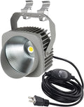 Kiven 10W Plug in LED Indoor/Outdoor Waterproof Spotlight Porch Light with 9.84 FT Plug-in Cord Black Plug in Accent Light with Vinly Siding Hooks for Plants Porch Garden(Warm White)