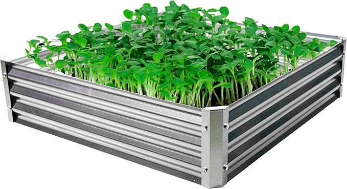 Backyard Expressions Galvanized Raised Garden Beds for Vegetables Large Metal Planter Box Steel Kit Flower Herb - 40x 40x 10.5H