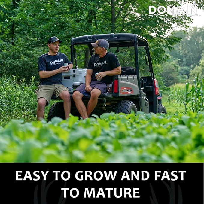 Domain Outdoor Smack Down Food Plot Seed 1/2 Acre Variety of Purple Top Turnip and Forage Turnip Attractive Forages No Matter The Time of The Year High Levels of Protein and Energy Fast to Mature