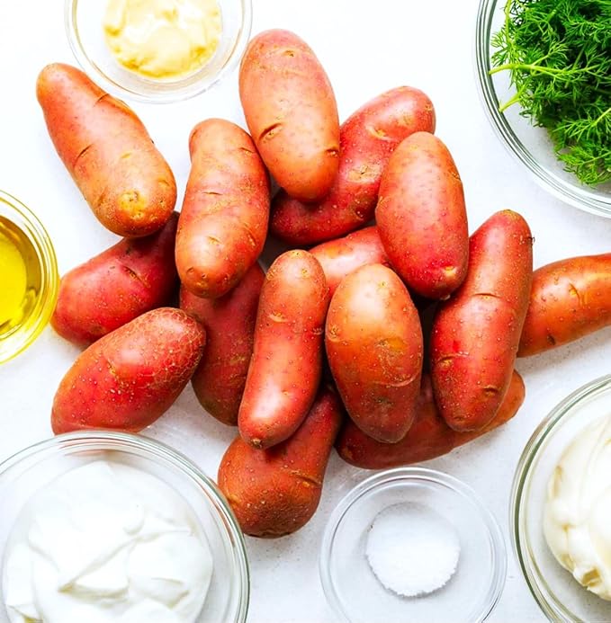 TomorrowSeeds - PRE-Order Now! Ships April 2026 - Red French Fingerling Seed Potatoes Seeds - 15 Pounds - for 2026 Planting Certified for Growers Organic Red Skinned Tuber Garden Growing Planting