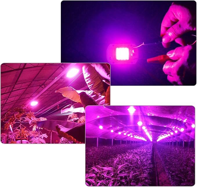 Fengyan Landscape Lights 1pc LED Grow Light COB Chip Full Spectrum Phyto Lamp Diode Aquarium Plant Light Led Matrix 220V 110V 20W 30W 50W 70W Grow Light LED Street Lamp