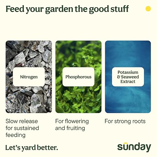 Sunday Wonderfert Flower Plant Food Bigger Blooms for Roses Annuals Perennials and Container Plants 3-8-7 Liquid Concentrate 32 fl oz 500 sq ft
