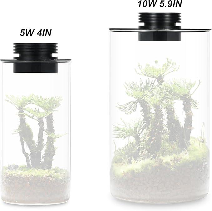 Glass Terrarium Plant Growing Lamp for Vases Up to 5.9 Inches in Diameter Light with Timer Auto On/Off Betta Fish Tank Indoor Plant Growth Succulent Miniature Gardening Landscape (10W 5.9IN)