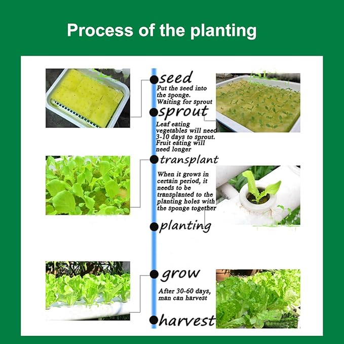 Hydroponics Growing System 54 Plant Sites 3 Layer 2 Rows Food-Grade PVC-U Pipes Hydroponic Grow Kit for Leafy Vegetables with 110V Water Pump