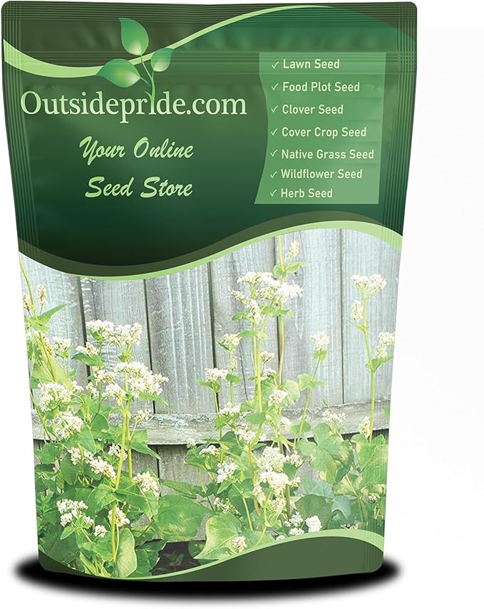Outsidepride Buckwheat Seeds - 40lbs Annual Fast-Growing Easy to Grow Buckwheat Cover Crop Seeds for Green Manure Bee Pasture &amp Pollinators Wildlife Habitat Soil Improvement and Erosion Cont