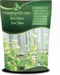 Outsidepride Buckwheat Seeds - 40lbs Annual Fast-Growing Easy to Grow Buckwheat Cover Crop Seeds for Green Manure Bee Pasture &amp Pollinators Wildlife Habitat Soil Improvement and Erosion Cont