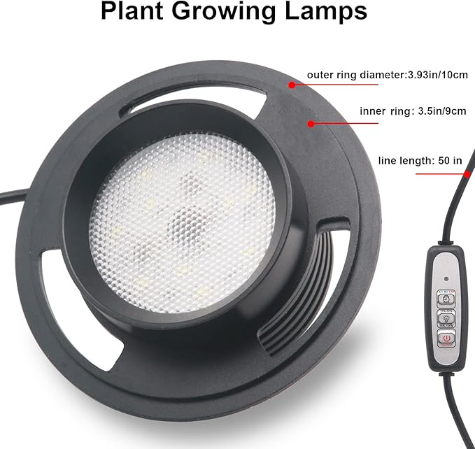 Desktop Glass Plant Terrarium with Grow Light (H:7.8 D:4) for Succulent Moss Miniature Gardening Landscape Betta Fish Tank Office Home Decoration Plant Lovers Gifts