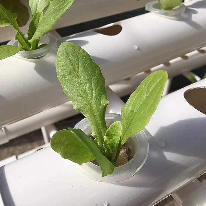 Hydroponic Growing Kits Wall Mounted Hydroponic Grow Kit 28 Plant Sites 4 PVC Pipes Hydroponics Growing System with Water Pump Water Culture Plant Growing System for Leafy Vegetables