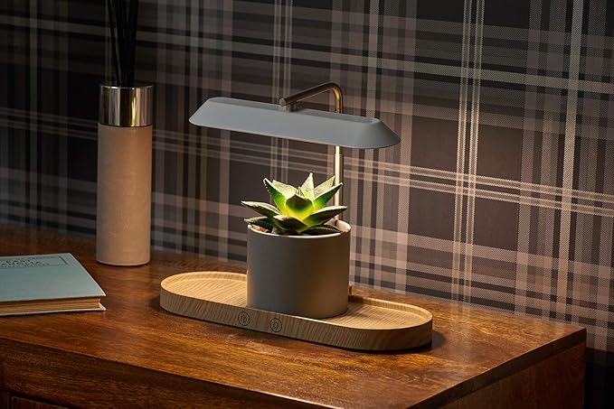 Auraglow LED Plant Grow Light with Hydroponic Full Spectrum Grow Mode &amp Display Lamp for Herbs Fruit Veg &amp Indoor Plants