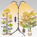 FECiDA 2026 2Head Grow Light with Stand 50 Watt Power Draw Bright and Big Coverage Grow Lights for Large Houseplants Bonsai Tree 4/8/12/16/20 Hr Timer 24-64 Height Adjustable 360° Gooseneck