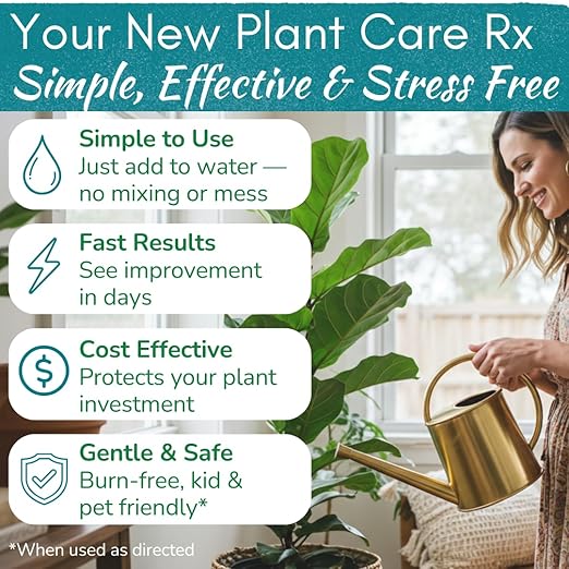 Fiddle Leaf Fig Rescue Drops – Treats Root Rot Brown Spots Leaf Drop &amp Stress | Immune Boosting Liquid Formula Concentrate | Easy to Use | Safe for All Tropical Plants | 3.3 oz | Made in USA