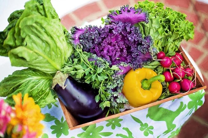 250 Packs Assorted Heirloom Vegetable Seeds 30+ Varieties All Seeds are Heirloom 100% Non-GMO Thousands of Seeds (250 Vegetable Seed Packets)