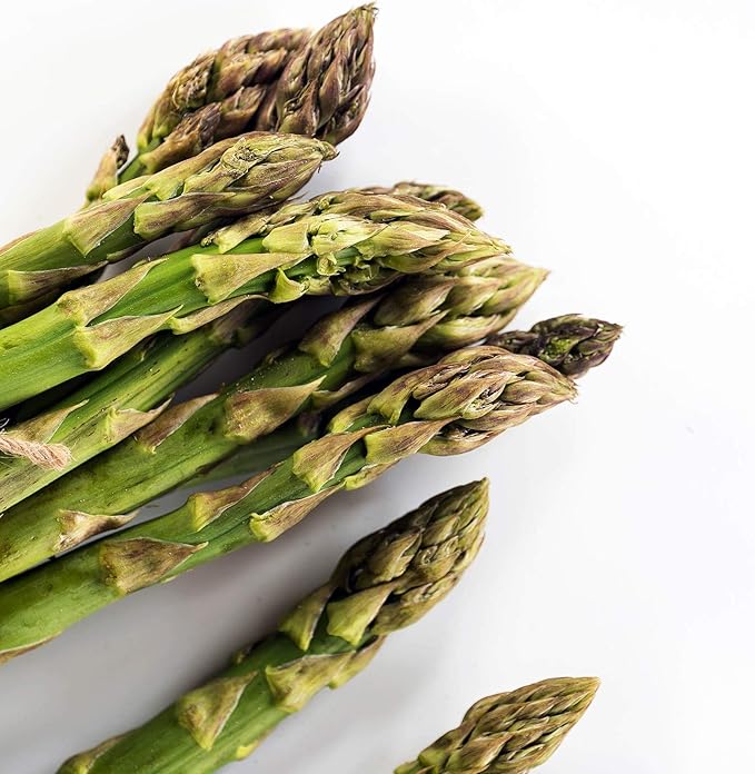 UC 72 Asparagus Garden Seeds - 1 Lb Bulk - Non-GMO Open Pollinated Perennial Vegetable Gardening Seeds