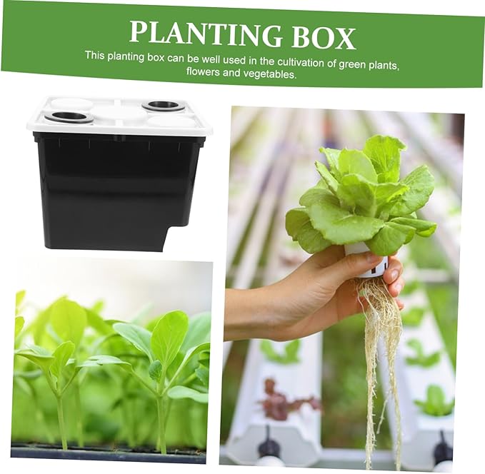 Plastic Planting Basket Cultivation Buckets for Cilantro Hydroponic Plants Bucket Black 2 Hole Covers Suitable for Home Garden
