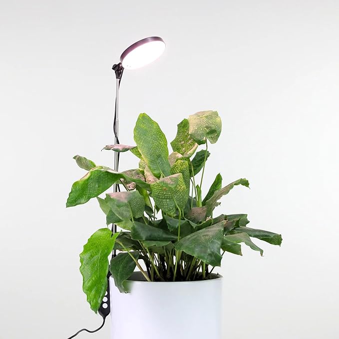 Mossify LED Grow Lights for Indoor Plants Full Spectrum – Adjustable Height (8”-28”) Dimmable Brightness Programmable Timer Long Lifespan – Ideal Grow Lights for Healthy Plant &amp Houseplants (Wh
