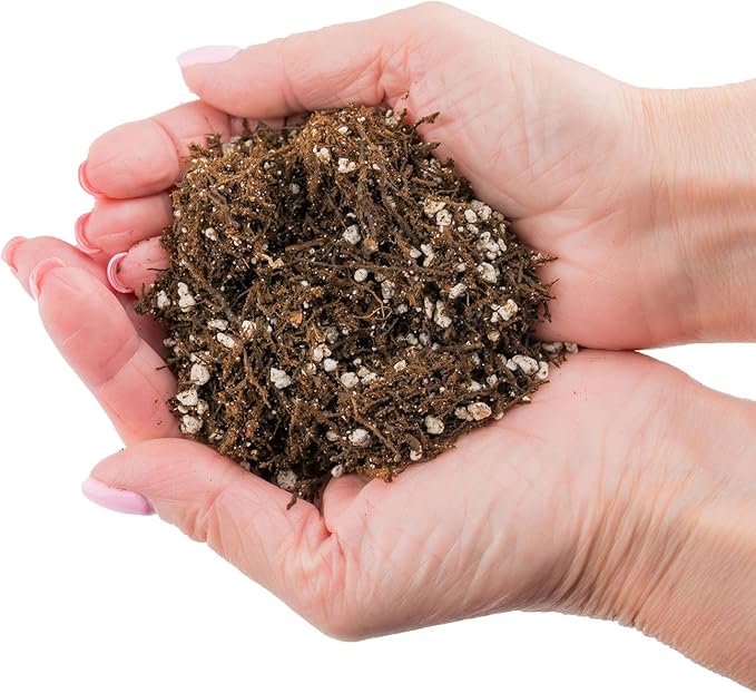 Gardenera Premium Organic Potting Soil Succulent &amp Cactus Soil Mix Fast Draining Pre-Mixed Blend - Horticultural Perlite (25%) + Peat Moss (75%) - Made in USA - 3 Quart