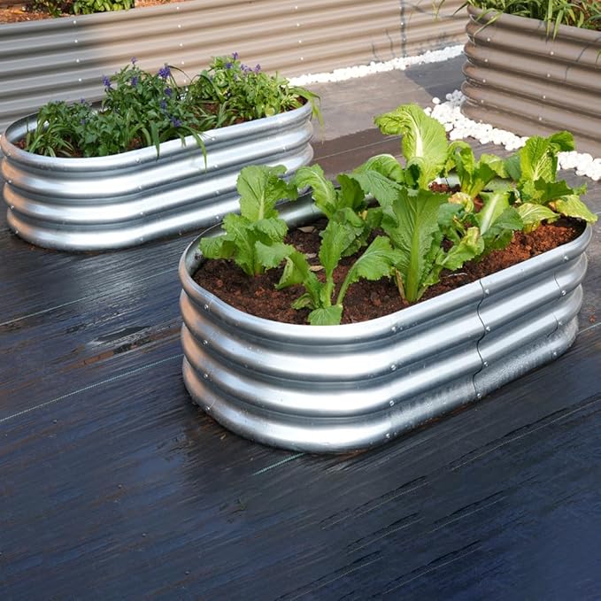 4x2x1ft Galvanized Raised Garden Bed Outdoor 2-Pack 12 Tall Metal Raised Beds for Gardening Planter Boxes for Plants Vegetables Flowers Herbs &amp Tomato Bottomless Elevated Garden Beds Kit Si